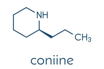 Fórmula química estructural de la coniina.